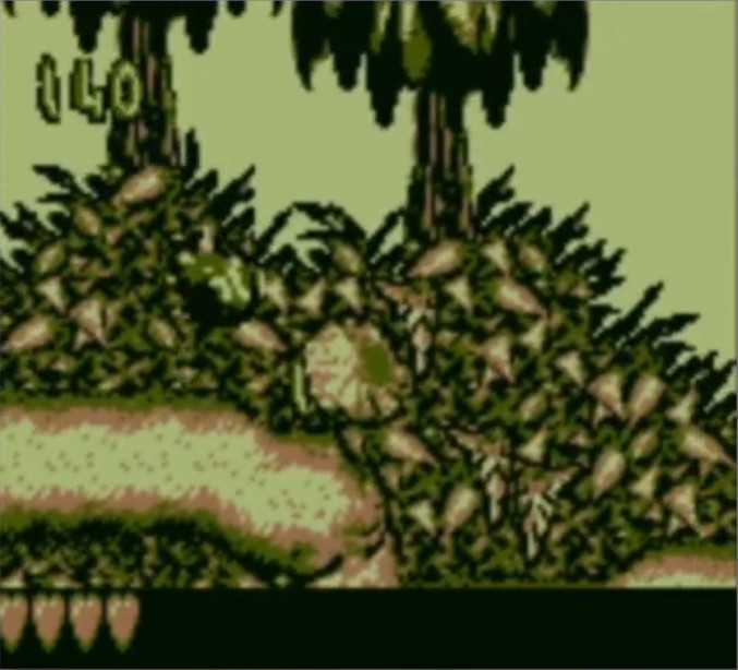 Screenshot Donkey Kong Land 4