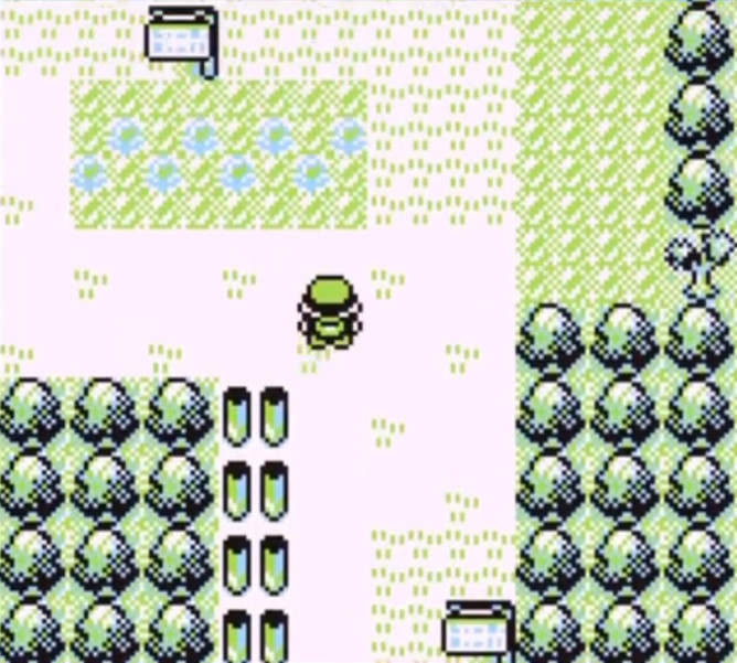 Screenshot Pokemon Red 11