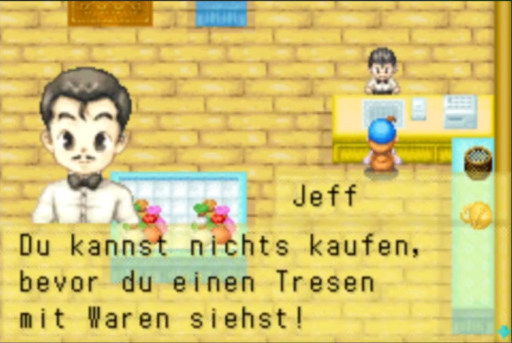 Screenshot Harvest Moon Friends of Mineral Town 6