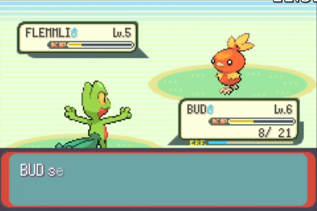 Screenshot Pokemon Emerald 4