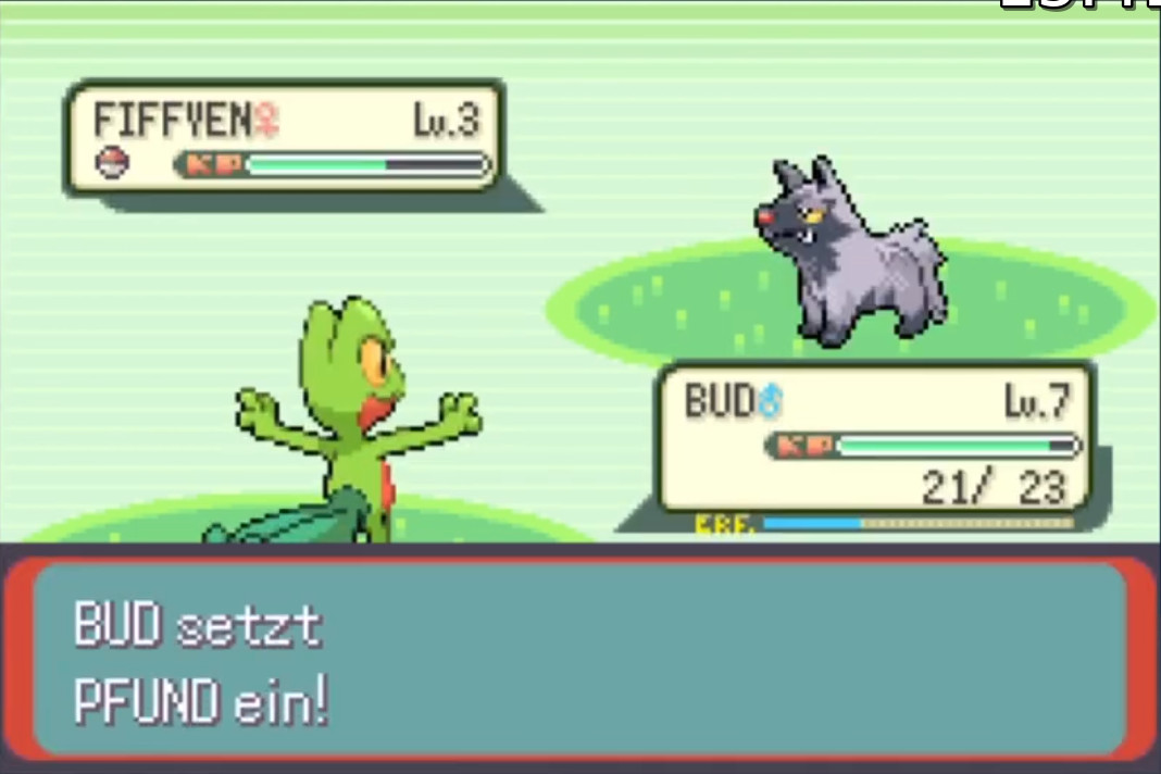 Screenshot Pokemon Emerald 6