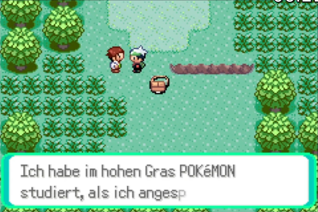 Screenshot Pokemon Emerald 12